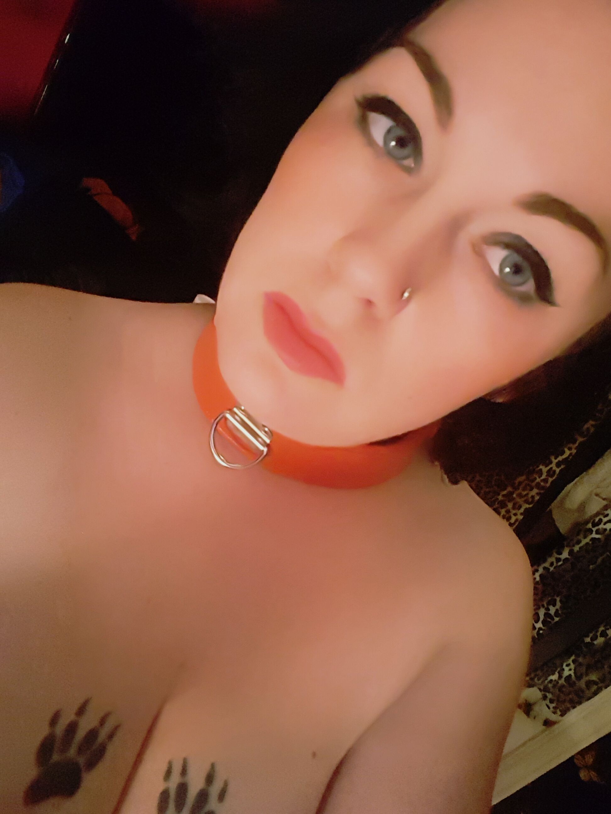 https://cdn.adultwork.com/gallery/G12/6017341.jpg