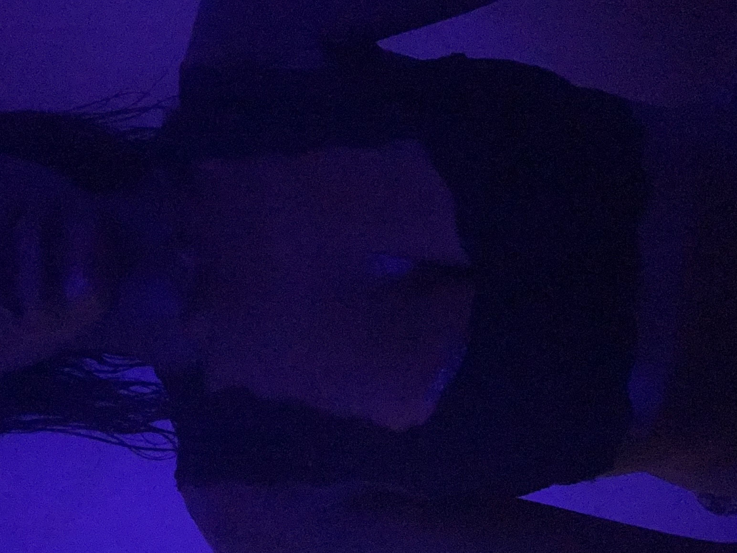 https://cdn.adultwork.com/gallery/G12/8400599.jpg