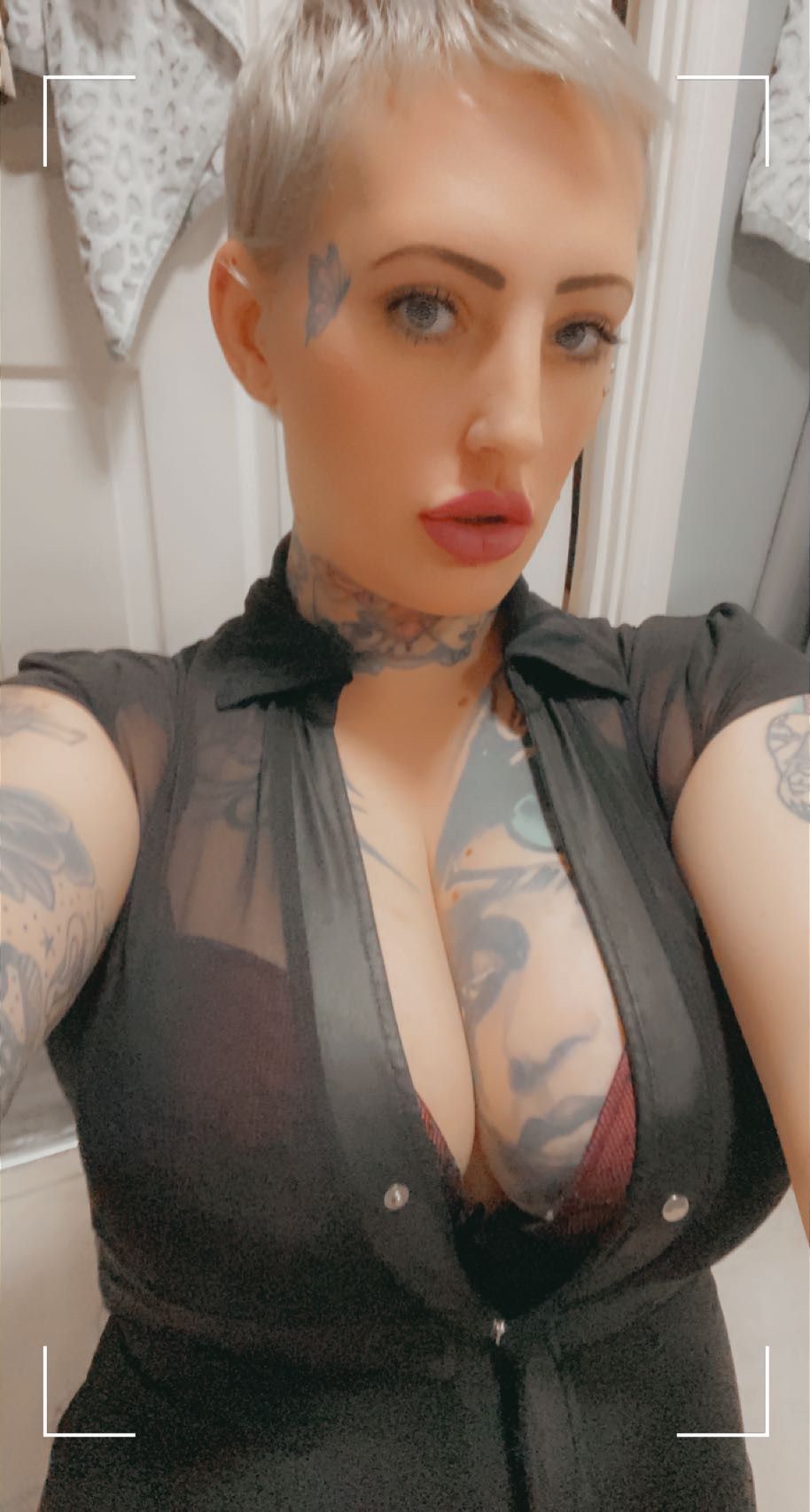 https://cdn.adultwork.com/gallery/G12/8465380.jpg