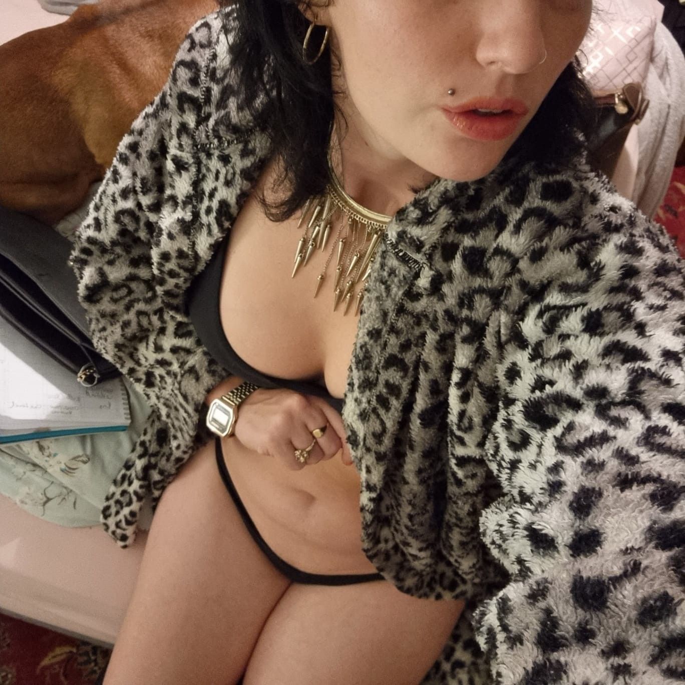 https://cdn.adultwork.com/gallery/G12/8818979.jpg