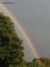 rainbowdays - Easingwold - YO61 British Escort