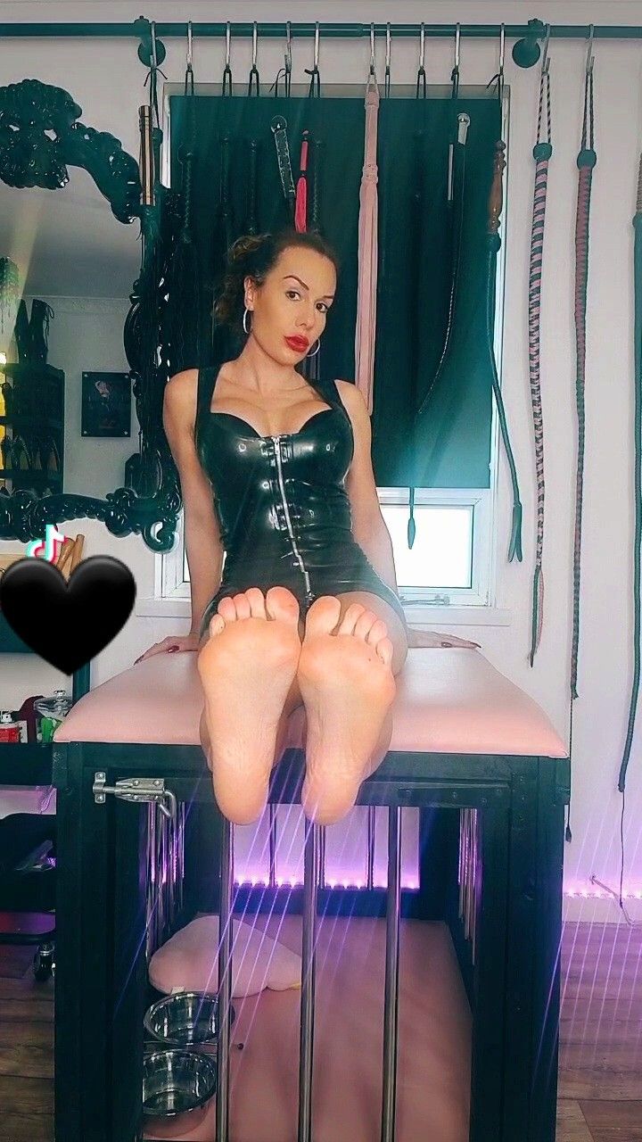 https://cdn.adultwork.com/gallery/G13/9189527.jpg