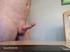 5inchcockshaved  - scunthorpe - DN31 British Escort