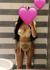 Maisie_xox - Glasgow City Centre - G1  British Escort