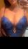 English holly - Bromsgrove  - B61 British Escort