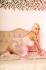 BARBIE PARTY GIRL - Dartford, Stone, Erith, Gravesend, Rochester - DA1 British Escort